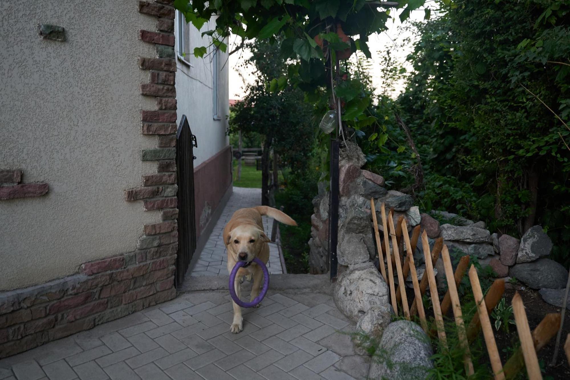 Argo Guest House Karakol Exterior foto