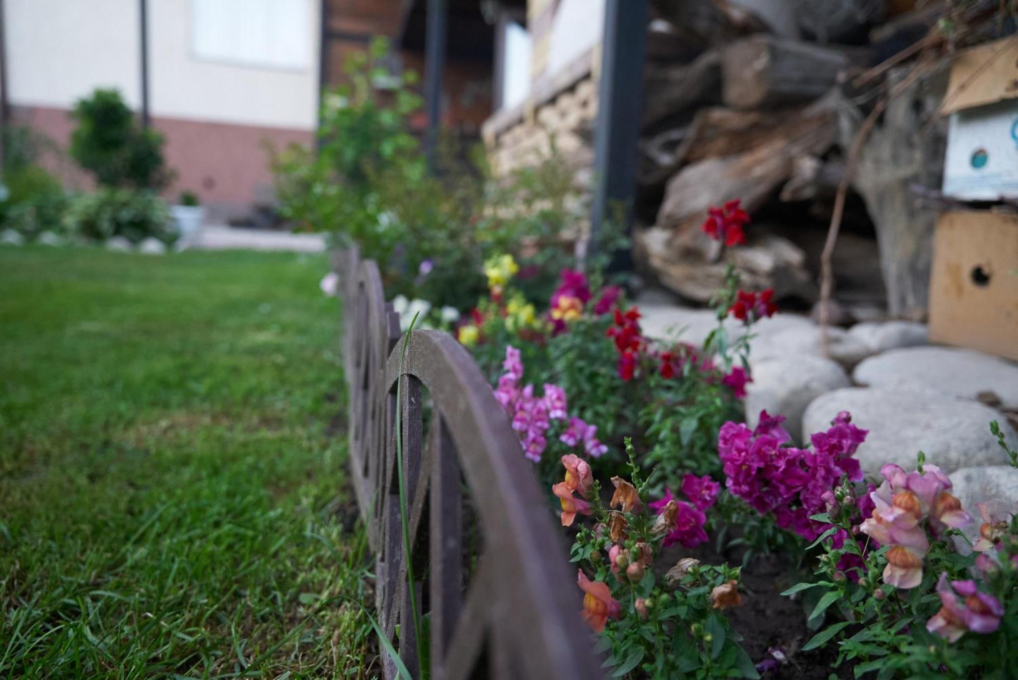 Argo Guest House Karakol Exterior foto